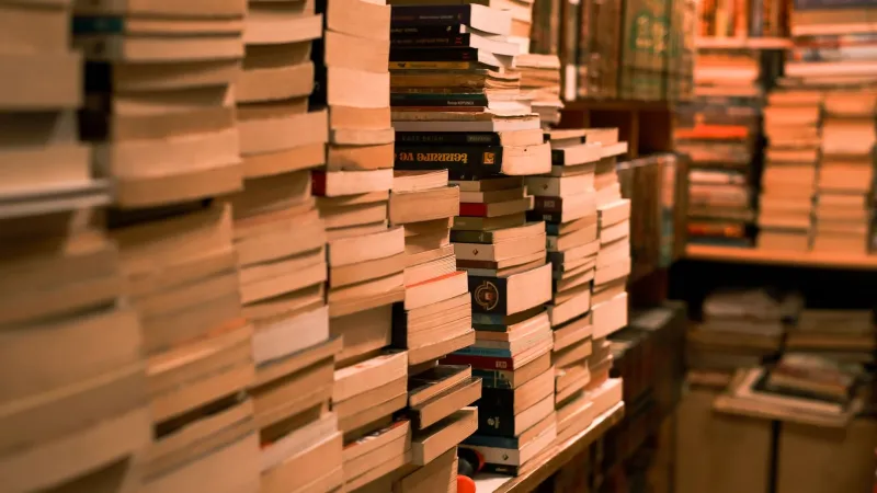 Spine Out, Logged On: The Bookstore as Stage Set and the Literature We're Not Reading