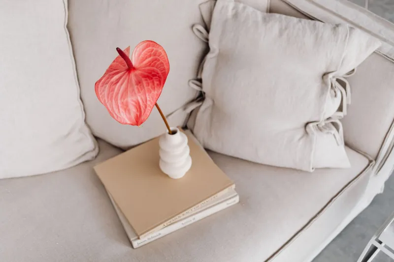 Nothing on the Walls, Everything to Prove: The Quiet Arrogance of Beige Aesthetics