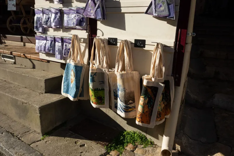 Tote Bag Transcendence: The Quiet Shame of Leaving the Museum with More Than You Came For